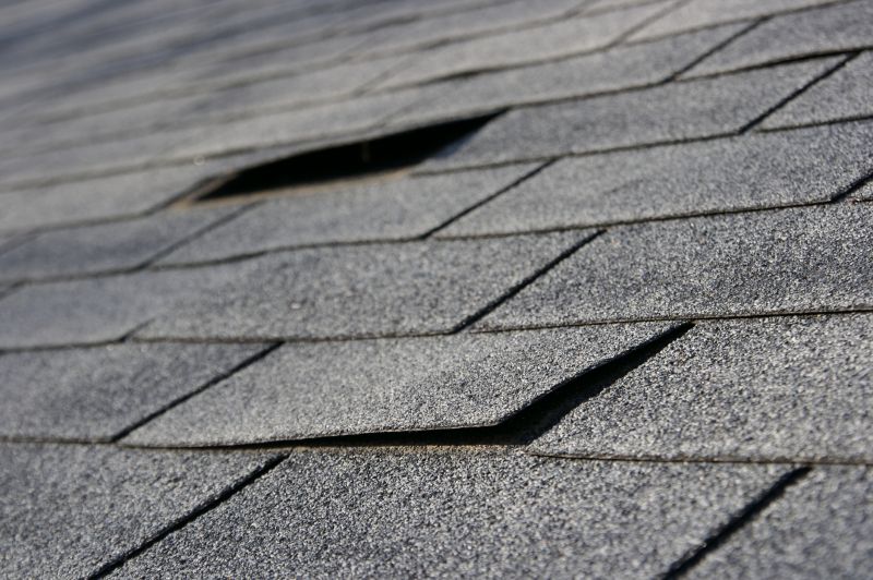 Roof Repair Consultation