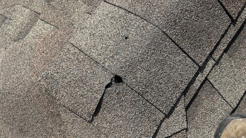 How Asphalt Shingle Roof Repair Prevents Costly Water Damage